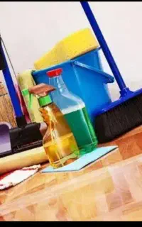 نظافت منزل