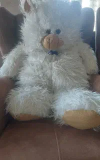 عروسک خرسی شاسخین