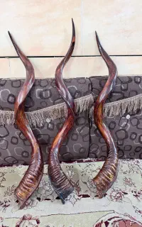 دمام سازی