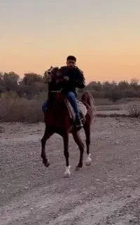 مادیون ی سر با کره مادیون
