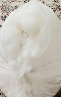 الیاف  سفید ساده جهت بالشت وتشک