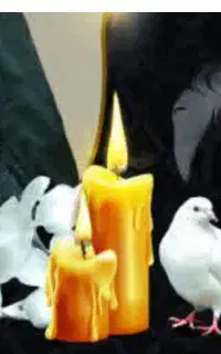 مداح  مراسمات ، مجری‌ گری ، قاری  دعای کمیل ، دشتی
