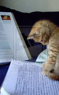 آموزش زبان آلمانی حضوری و آنلاین