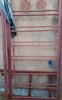 در حیاطی نو