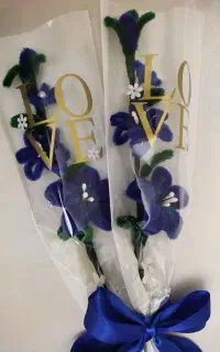 دو شاخه پیپ پاک کنی برای مدرسه
