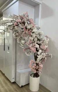 درختچه شکوفه خارجی بزرگ و زیبا