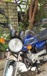 باکسر اصلی کم کارکرد