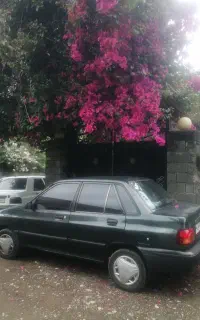 ماشین تهران شاسی ها پلمپ