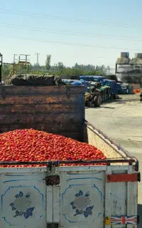 استخدام نیروی کار در کارخانه صنایع غذایی