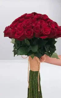 گل رز گلشهر و دامایی گرون نخر