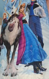 روتختی سه بعدی السا وآنا