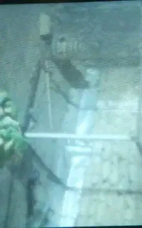 قفس کبوتر