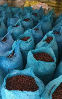 عناب عمده کشاورز