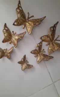 پروانه برنجی