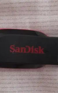 فلش SanDisk