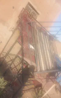 پالت