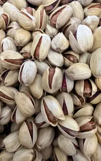 فروش انواع پسته و مغز پسته به صورت کلی و جزئی