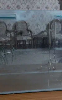 آکواریوم ماهی