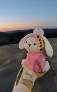 کیف خرگوشی