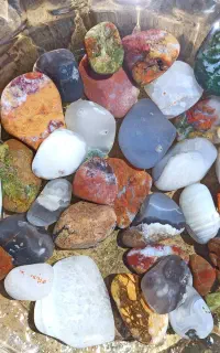 یه تغییر اساسی به دکور آکواریومت بده