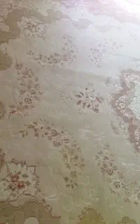 یک جفت فرش ۹متری سالم بدون زدگی وسوختگی