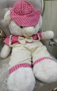 عروسک خرس و گربه