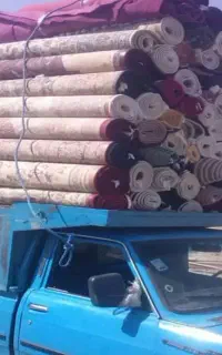 قالیشویی ساقدوش