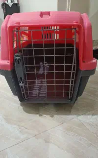 باکس سگ و گربه