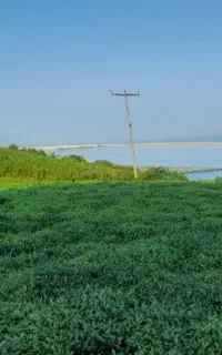 کار در ترابزون ترکیه