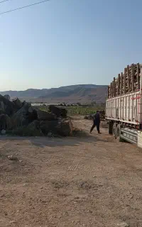مرکز خریدوفروش «نقدی»چوب و تعمیرات انواع اره موتور