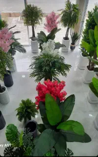 واردات وپخش انواع درختچه های مصنوعی