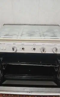 فرگاز