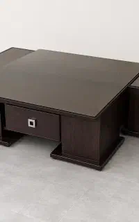 میز جلو مبلی به همراه گل میز