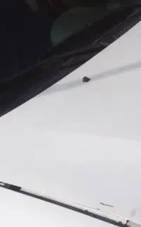 جویای کارخانم