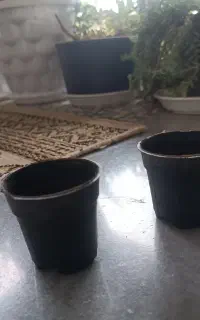 گلدان نشایی سایز کوچک