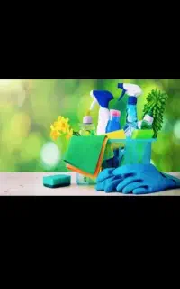 نیروی نظافتچی خانم