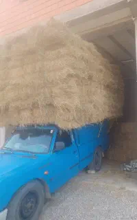 کاه و کمل