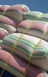 کاه گندم ریز