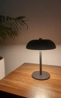 آباژور زاراهوم