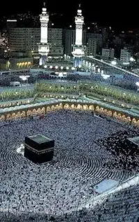 فیش حج تمتع 1386/11/03
