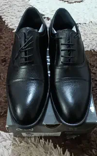کفش چرم مجلسی