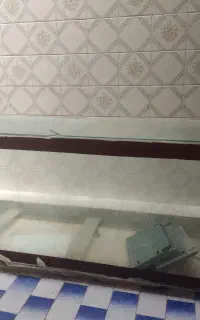 اکواریوم