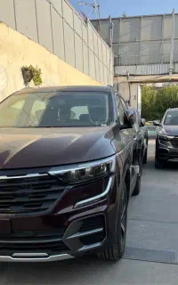 کولیوس 2025خشک صفر