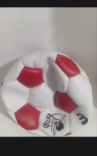توپ ورزشی . بعدی