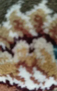 دارقالی