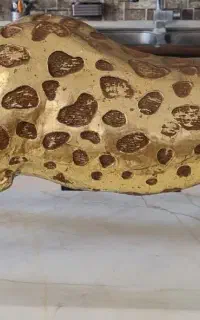 ببر طلایی