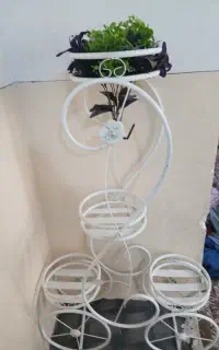 استند گل