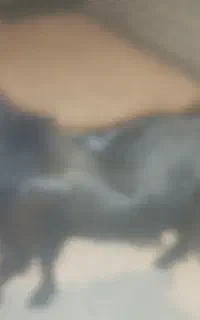 ۱۵۰۰۰۰۰