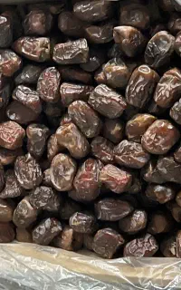 خرمای مرداسنگ