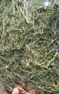 یونجه جوندگان - خرگوش - همستر - خوکچه - حلزون